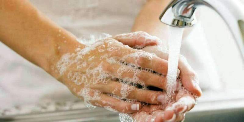 Ученые: «Руки необходимо мыть правильно»