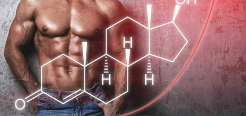 6 продуктов, повышающих уровень тестостерона