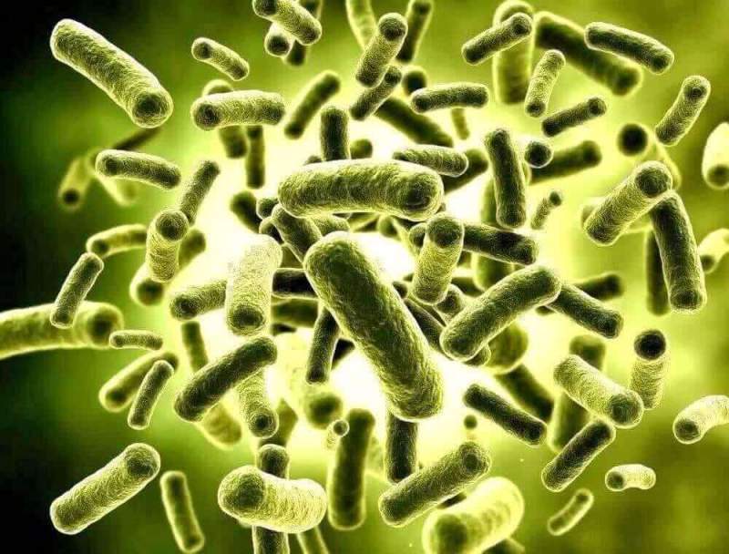 На защиту человечества от бактерий встанут очистители с пробиотиками