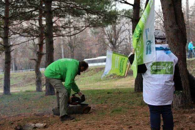 В Краснодаре волонтеры очистили прибрежную зону Карасунских озёр от мусора