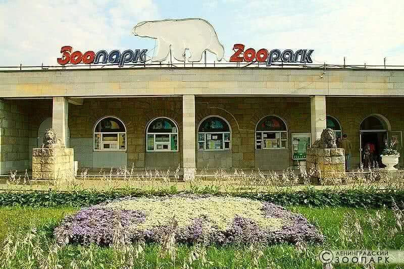 Ленинградский зоопарк ждет в гости многодетные семьи: билеты будут бесплатными