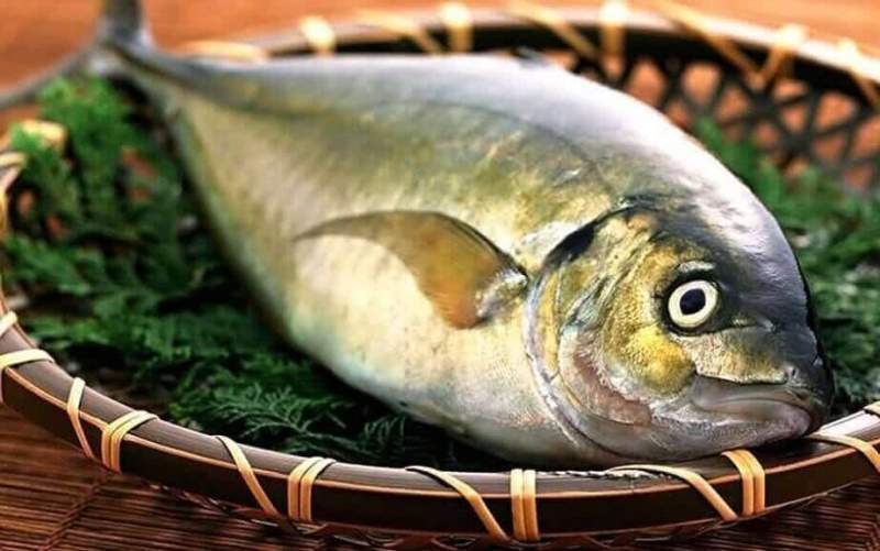«Рыбная неделя» может пройти в Хабаровском крае