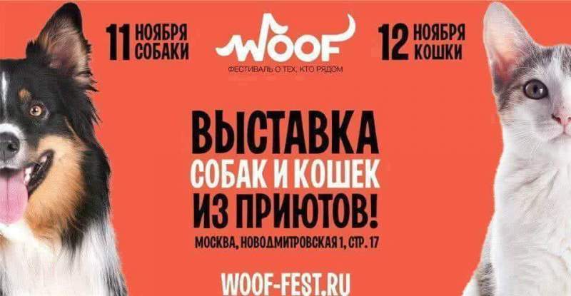 Благотворительный фестиваль WOOF в поддержку животных из приютов