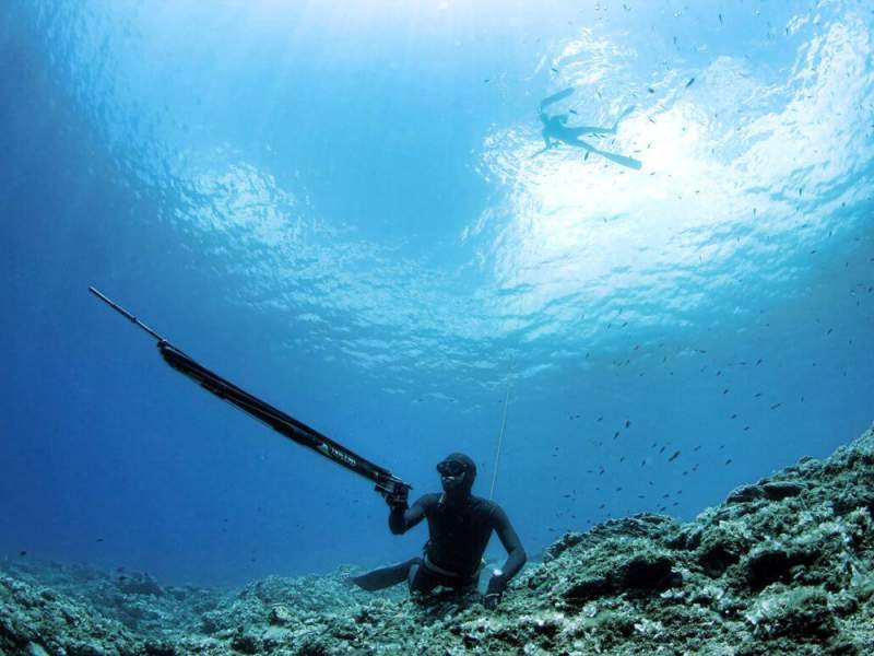 Почему подводная охота пользуется высокой популярностью