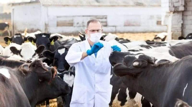 Мичуринскому государственному аграрному университету выделено 50 миллионов рублей на открытие кафедры животноводства и ветеринарии