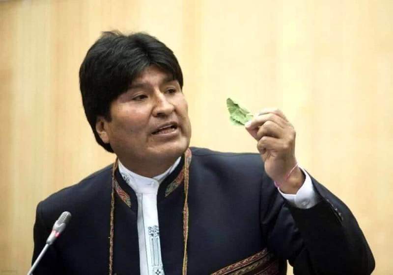 Ни дня без коки: боливийский лидер добивается легализации жевательной пасты из листьев коки