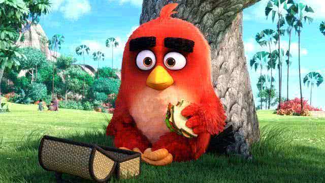 Обзор мультфильма Angry Birds