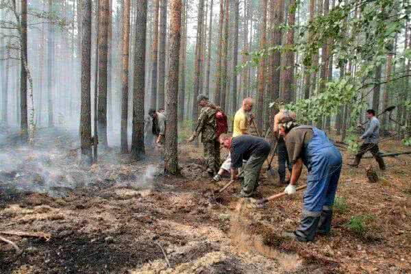 Пожароопасный сезон в Хабаровском крае может открыться в начале апреля