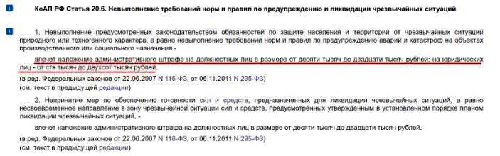 Сегодня мотается по стране, завтра мотает срок – навальнистка Васильева может пойти по статье 