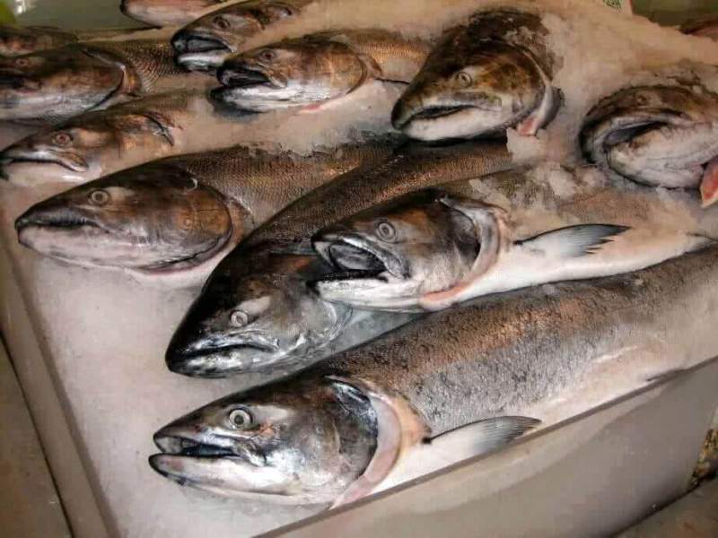 Около тысячи тонн рыбной продукции поступит на прилавки Хабаровского края этой осенью