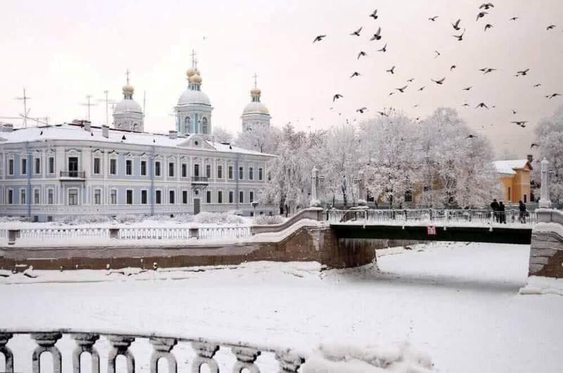 Результаты проверок Государственной жилищной инспекции Санкт-Петербурга по уборке территорий районов Санкт-Петербурга от снега и наледи по состоянию на 08.02.2017 года 