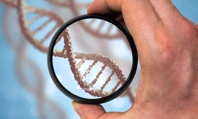 Анализ ДНК на отцовство