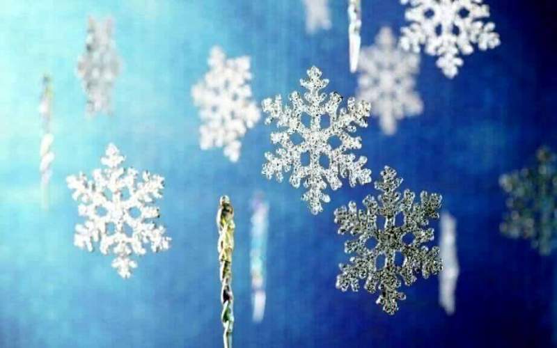 Жители Хабаровского края смогут украсить снежинками Новогоднюю столицу России