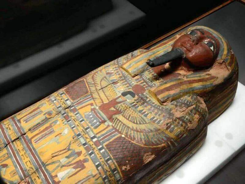 Генетиками впервые удалось полностью расшифровать ДНК египетских мумий