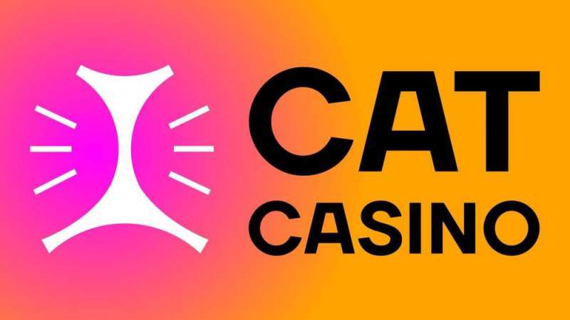 Cat Casino: обзор игровой площадки и приветственных бонусов
