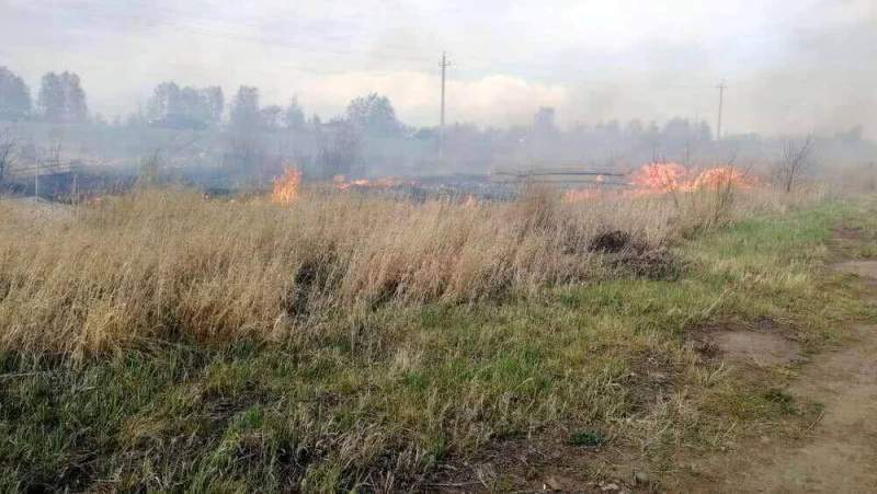 Эксперты ОНФ сообщили руководству Челябинской области о занижении статистики площадей лесных пожаров