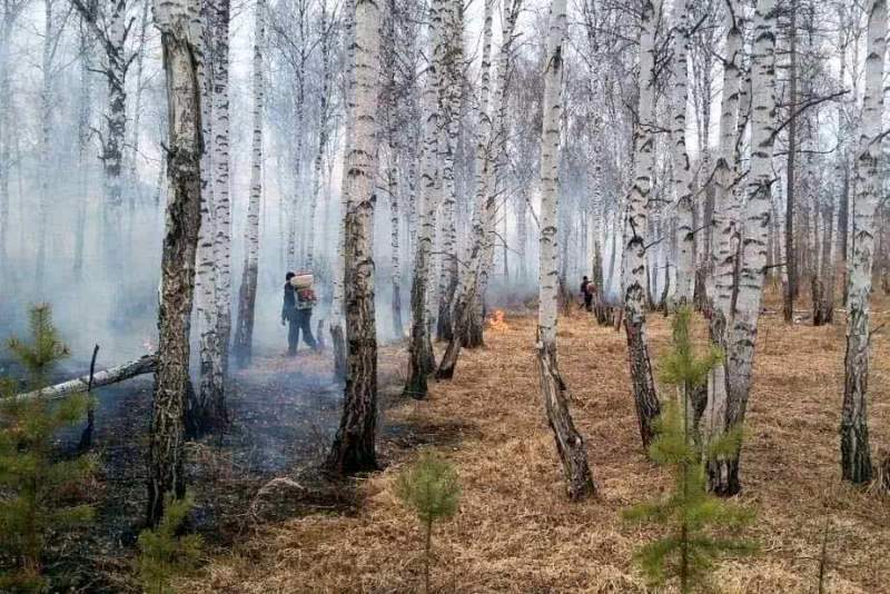Два лесных пожара возникли за сутки в Хабаровском крае
