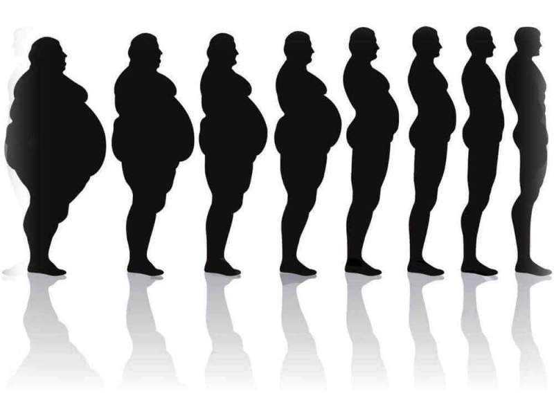 Ученые: «Лишний вес и материальный достаток взаимосвязаны»