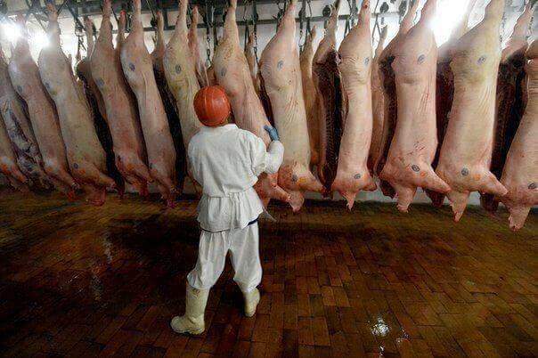 В Хабаровский край доставлена партия китайского мяса