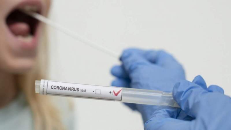 Научный подход: почему происходят новые волны коронавируса?