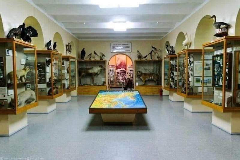 Музейный фонд Хабаровского края за год пополнился семью тысячами новых экспонатов