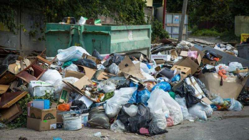 Московская городская дума увеличит штрафные санкции за вывоз мусора в неположенные места