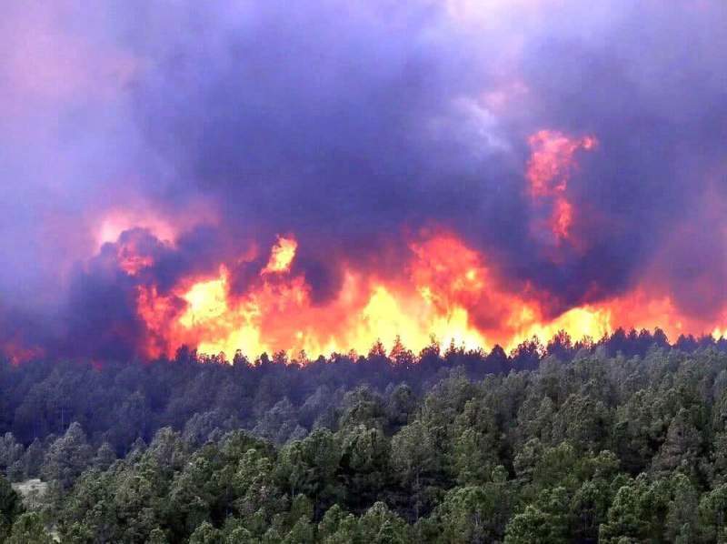 Площадь лесных пожаров в Иркутской области выросла втрое