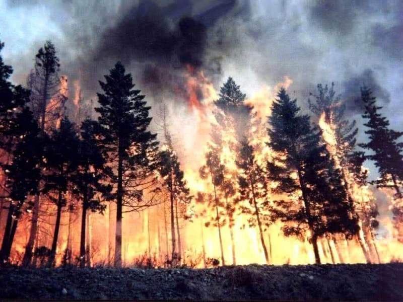 Первые возгорания в лесах Хабаровского края ожидаются уже в конце марта