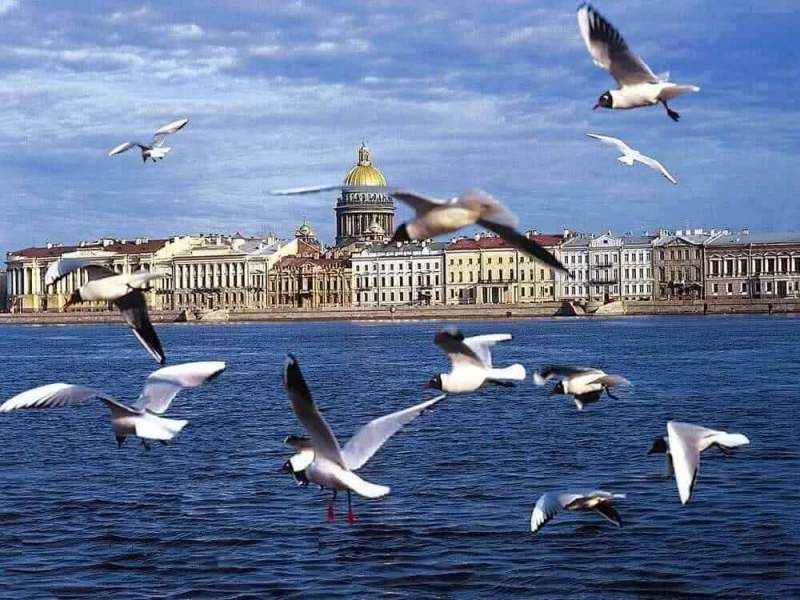 Государственная жилищная инспекция Санкт-Петербурга проверила качество содержания и ремонта жилищного фонда в Фрунзенском районе