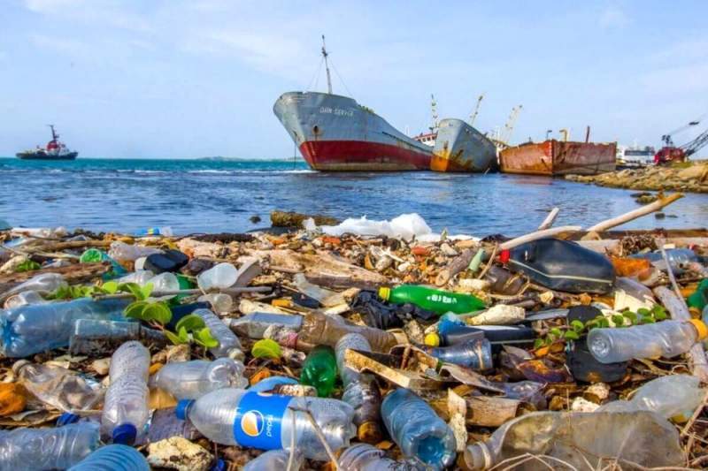 Какие меры нужно принимать для решения проблемы загрязнения окружающей среды пластиком