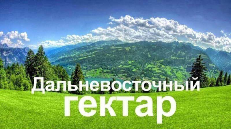 Почти 600 заявок на «дальневосточный гектар» в Хабаровском крае поступило за минувшие сутки