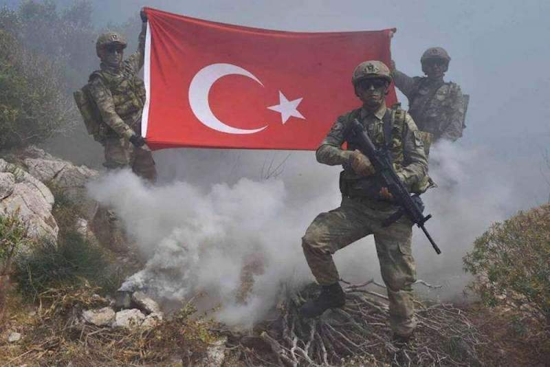 Турция спасла террористов ПНС от разгрома, считает эксперт