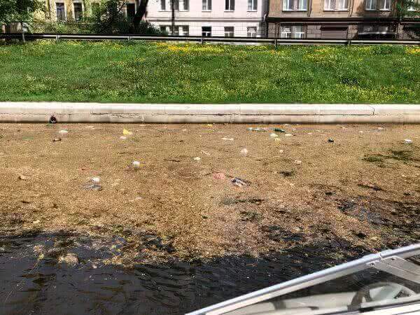 Активисты ОНФ провели мониторинг акваторий и береговых линий рек и каналов Санкт-Петербурга
