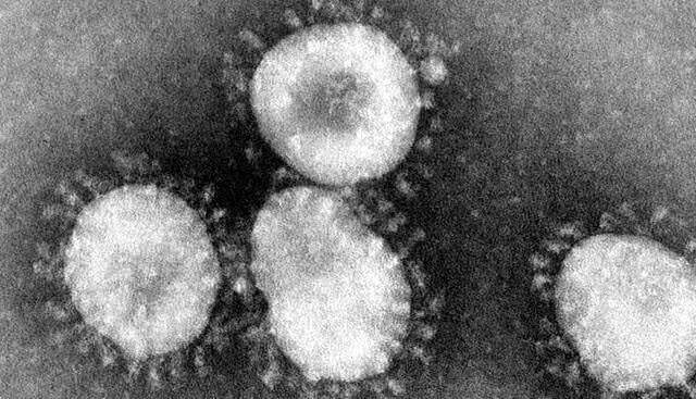 Новый штамм коронавируса и легочные инфекции в Китае