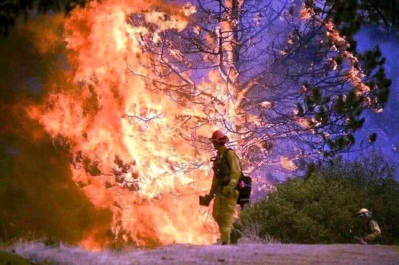 МЧС России готово оказать помощь США в тушении лесных пожаров