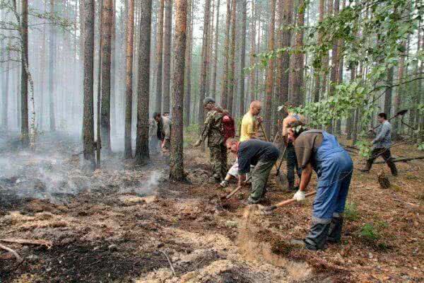 Власти Хабаровского края призывают граждан воздержаться от поджогов сухой травы