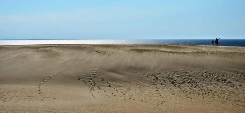 Администрация Курортного района во главе с Чечиной уничтожили визитную карточку пляжа – песчаные Дюны