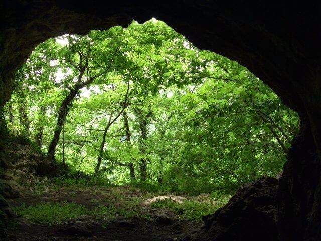Пещера Киик-Коба – одна из достопримечательностей Крыма