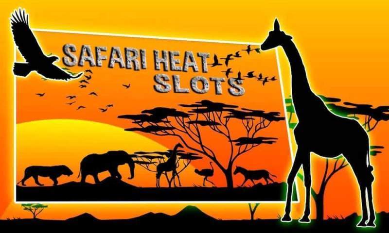 Особенности игрового процесса на аппарате Сафари (Safari heat) в казино Император