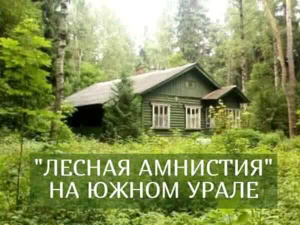 О промежуточных итогах  «лесной амнистии» на Южном Урале