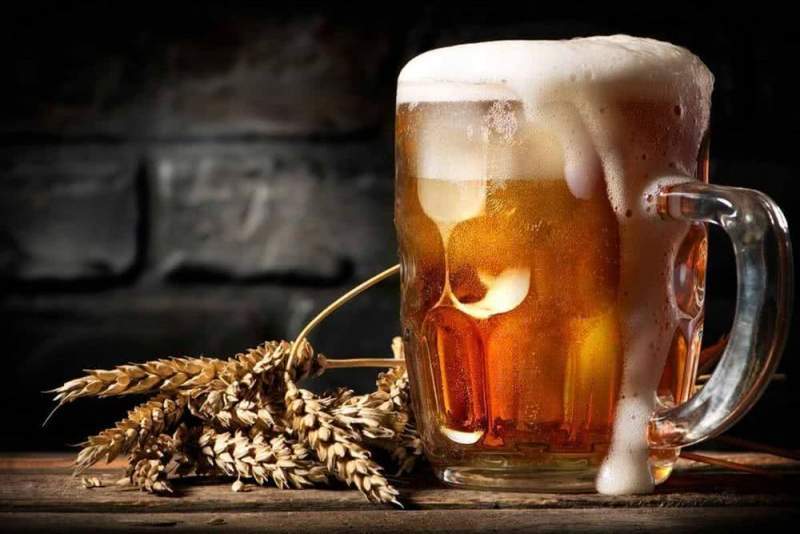 Подробнее о видах и критериях выбора домашних пивоварен