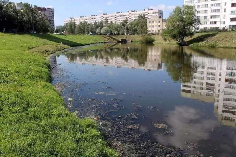 Активисты ОНФ взяли под контроль экологическую ситуацию в реке Новой в Санкт-Петербурге
