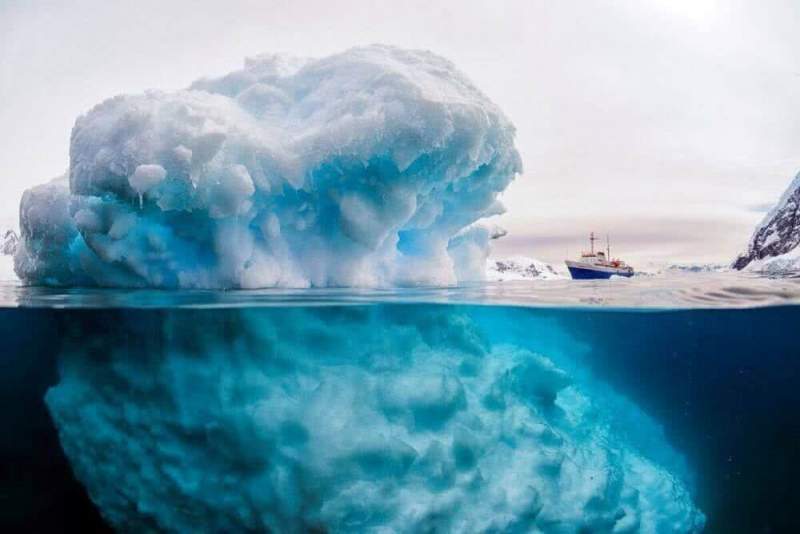 От ледникового массива Антарктиды откололся самый крупный айсберг