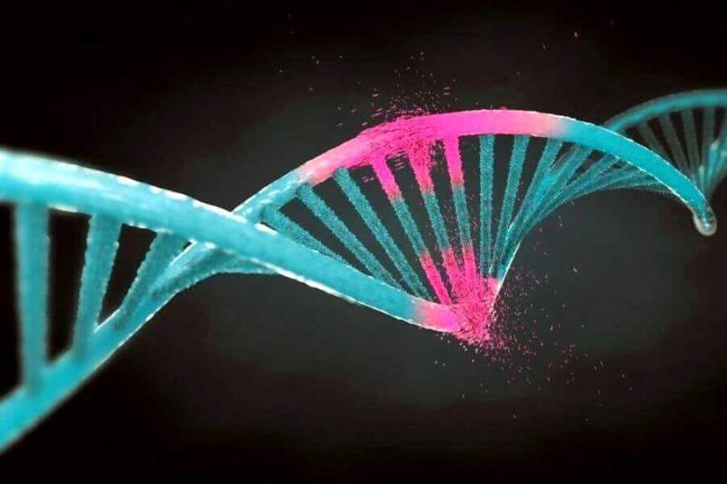 В Сингапуре одобрено получение Merck патента на технологию CRISPR