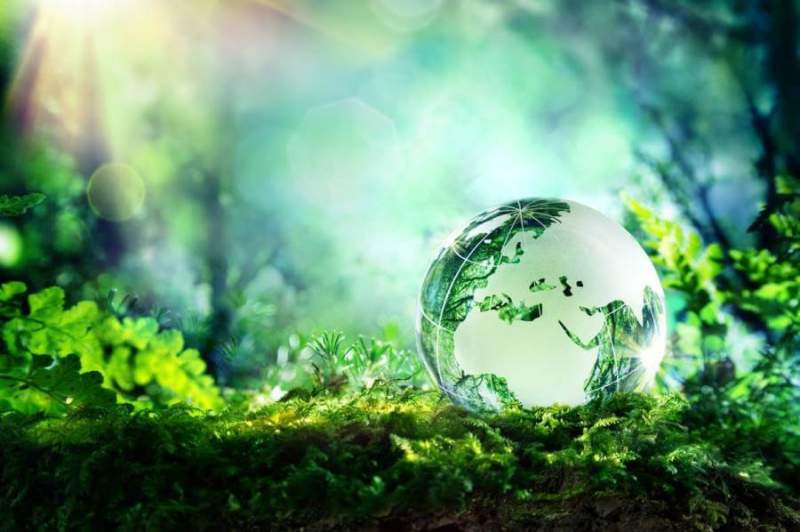 Тамбовская область – лидер экологического рейтинга по итогам весны 2021 года