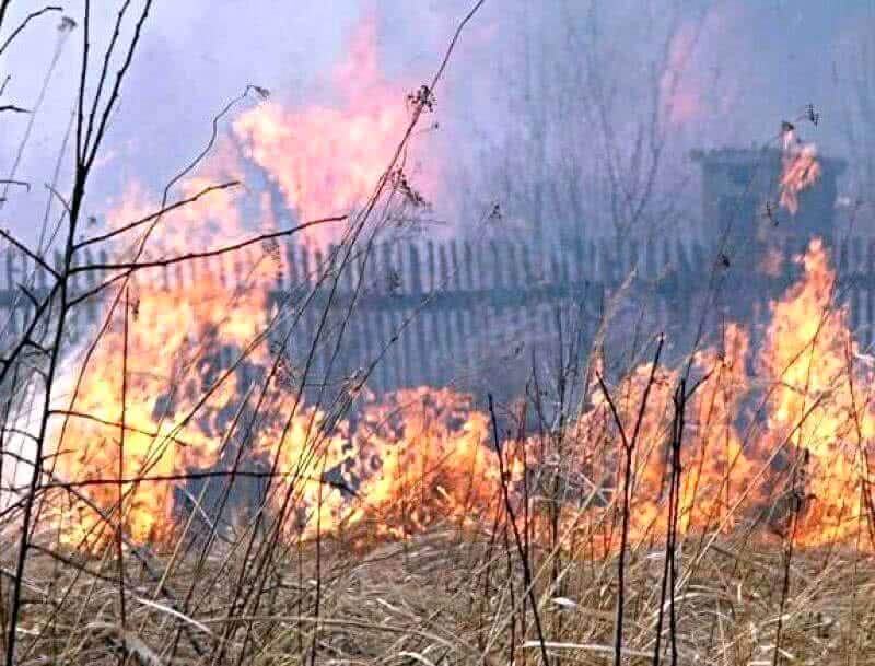 В Кузбассе оперативно ликвидирован лесной пожар