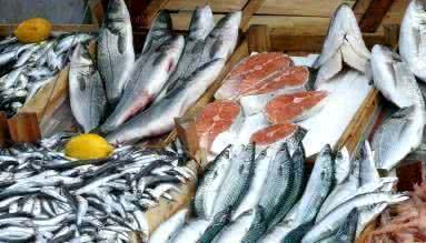 В Магаданской области вылов рыбы значительно превысил плановые показатели