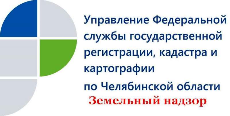 Итоги 2020 года: в Челябинской области выявлено более 5 тысяч нарушений земельного законодательства