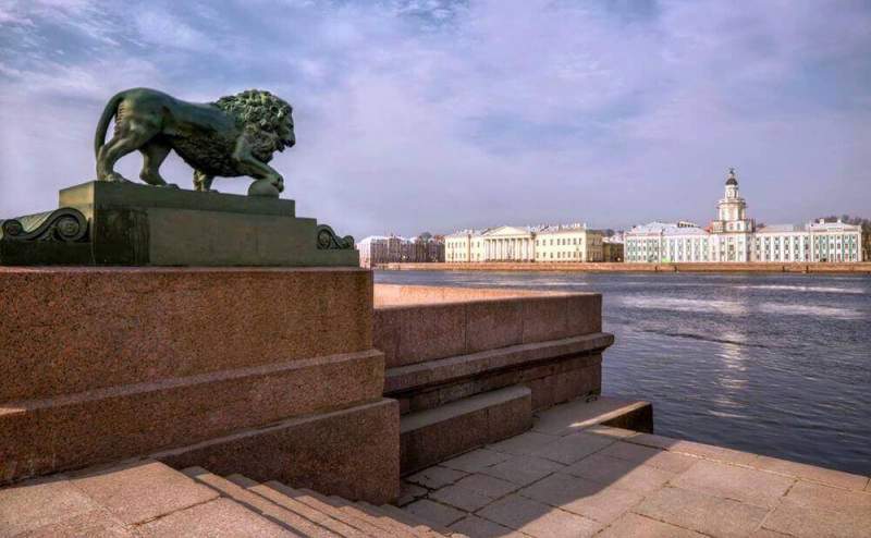«Мы сделаем город еще лучше»: как движение «Петербург – город перемен» привлекает внимание к вопросу экологии 