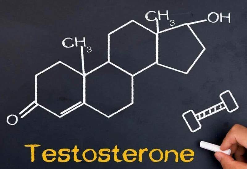Ученые опровергли «агрессивную» суть тестостерона